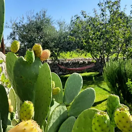 فندق مبيت وإفطار Red Rose 4*