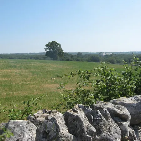 فندق مبيت وإفطار Red Rose مارتينا فرانكا