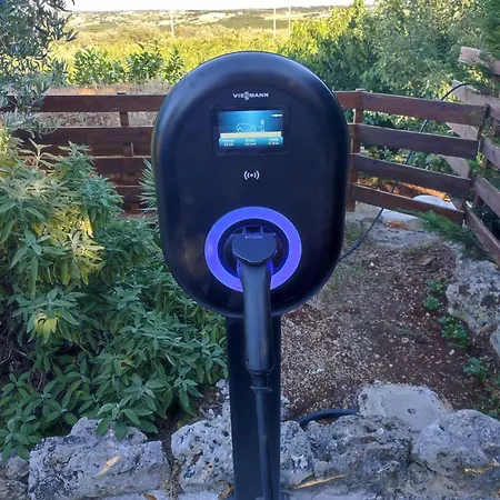 Red Rose مارتينا فرانكا