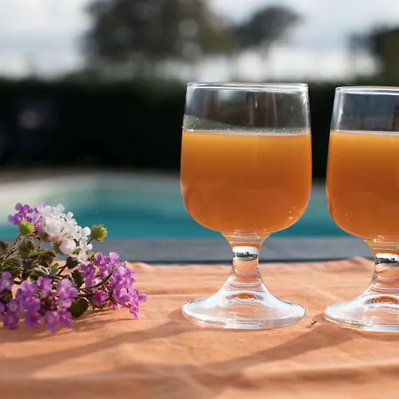 Red Rose مارتينا فرانكا