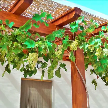 Red Rose 4* مارتينا فرانكا