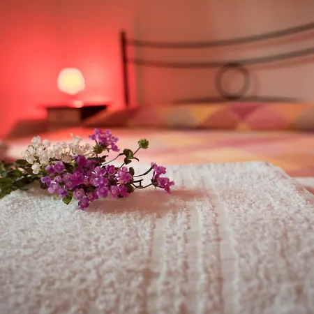 فندق مبيت وإفطار Red Rose مارتينا فرانكا