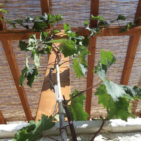 فندق مبيت وإفطار Red Rose