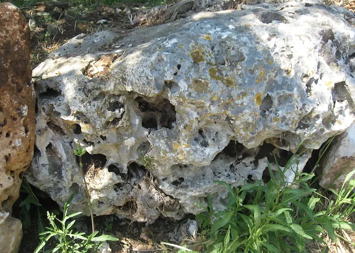 Red Rose Martina Franca