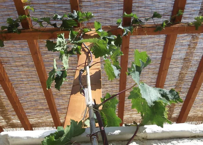 Bed & Breakfast Red Rose