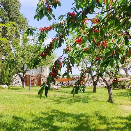 Red Rose Bed & Breakfast