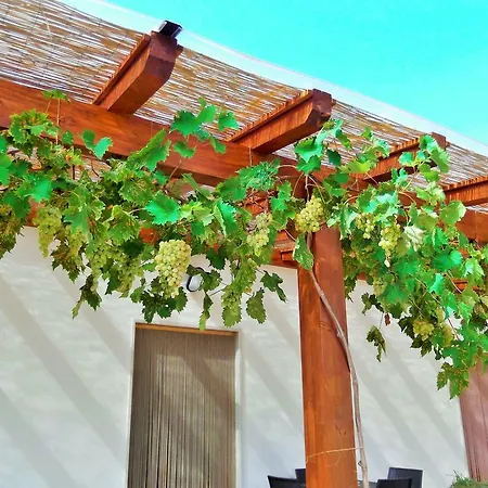 Bed & Breakfast Red Rose
