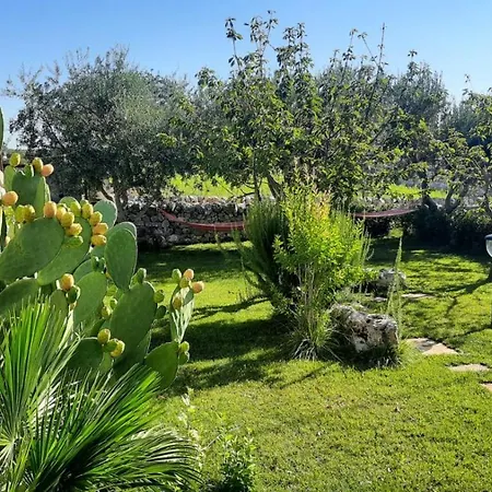 红玫瑰住宿加早餐旅馆 马丁纳弗兰卡