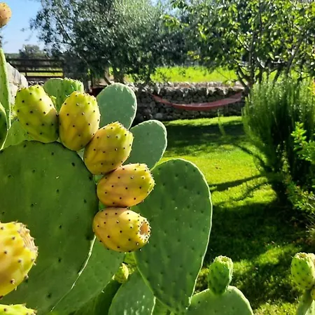 Red Rose Bed & Breakfast 4*