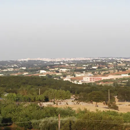 红玫瑰住宿加早餐旅馆