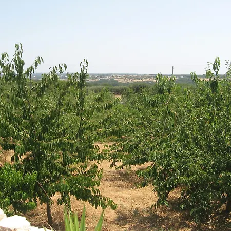 住宿加早餐酒店 红玫瑰住宿加早餐旅馆 4*