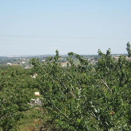Bed & Breakfast Red Rose Martina Franca