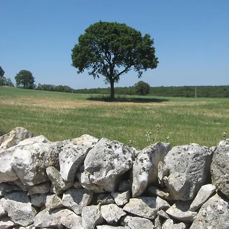 住宿加早餐酒店 红玫瑰住宿加早餐旅馆