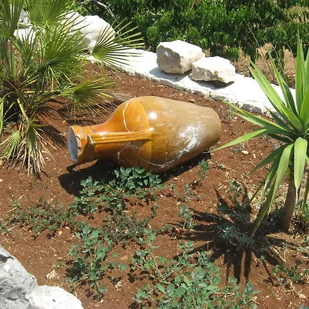 住宿加早餐酒店 红玫瑰住宿加早餐旅馆