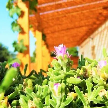 Red Rose Bed & Breakfast Martina Franca