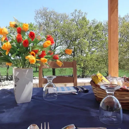 红玫瑰住宿加早餐旅馆 4*