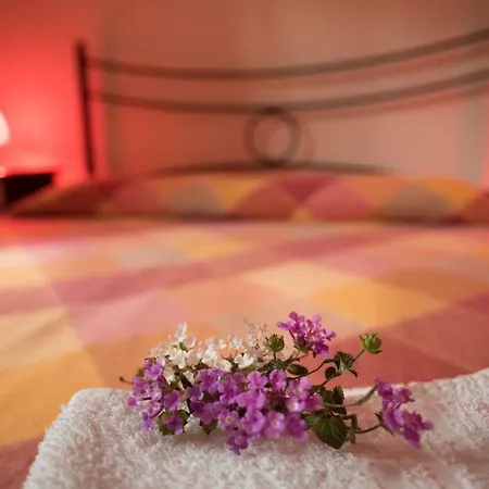 Red Rose 3*
