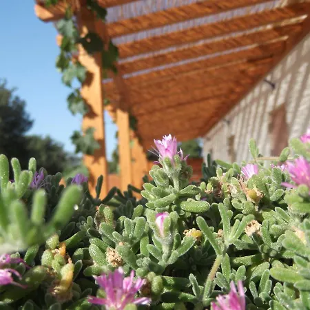 红玫瑰住宿加早餐旅馆 住宿加早餐酒店 4*