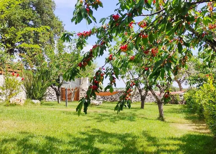 Red Rose Couette-café