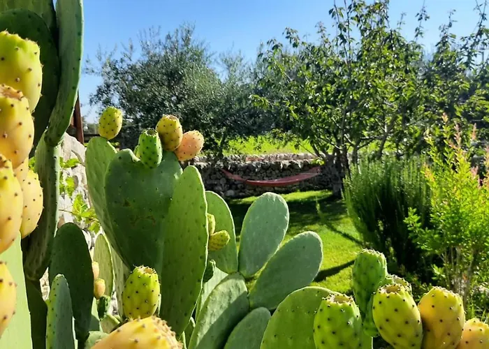 Couette-café Red Rose 4*