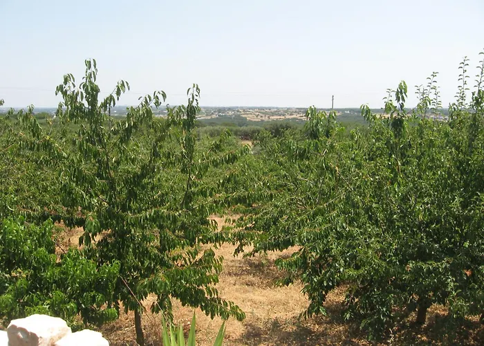 Couette-café Red Rose 4*