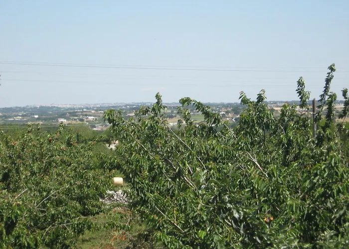 Bed & Breakfast Red Rose Martina Franca