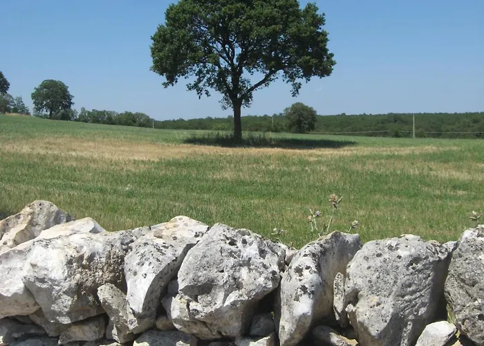 Couette-café Red Rose