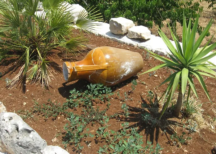 Bed & Breakfast Red Rose