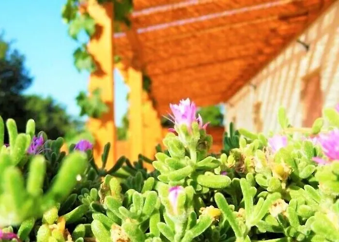 Red Rose Bed & Breakfast Martina Franca