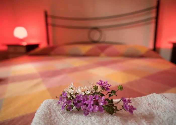 红玫瑰住宿加早餐旅馆 4*