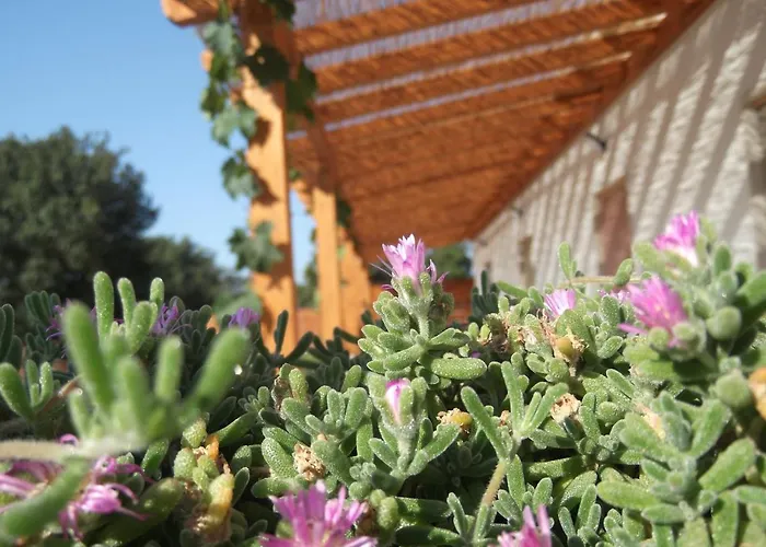 Red Rose Bed & Breakfast 4*